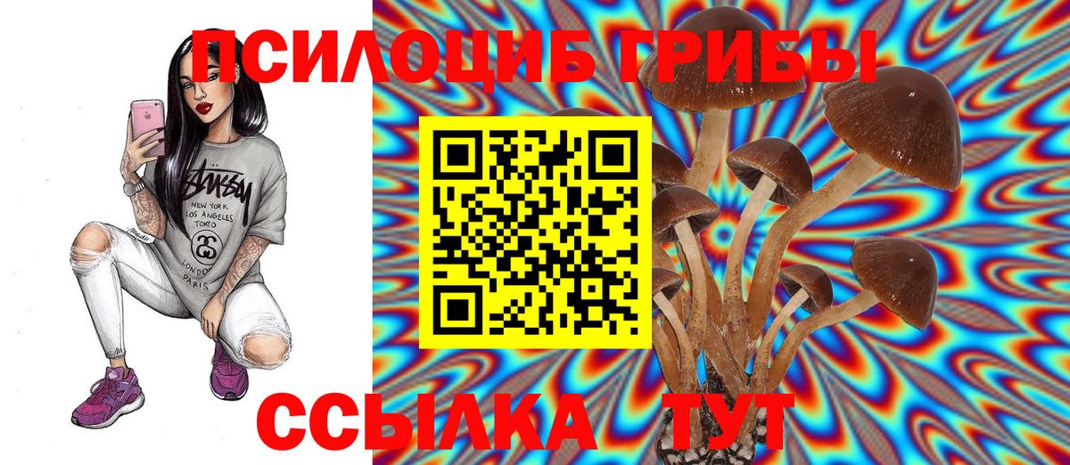 Псилоцибиновые грибы мицелий Грязи