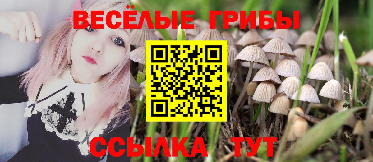 Галлюциногенные грибы мицелий  Вход с VPN  Грязи 
